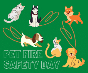 El Día Nacional de la Seguridad contra Incendios en Mascotas se celebra cada 15 de julio