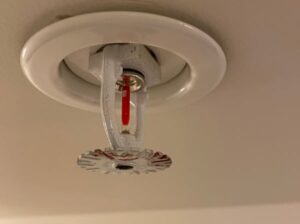 Dirty fire sprinkler