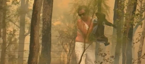 Imagen de mujer rescatando koalas de un incendio forestal