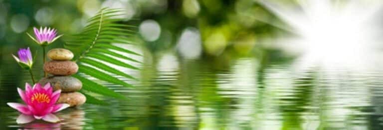Contaminación del aire interior - Estanque sereno - Imagen