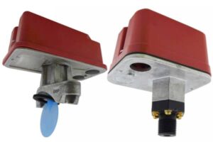 Flow and pressure switches