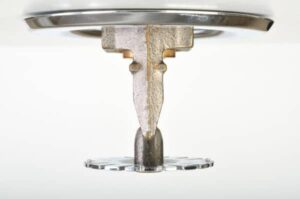 A pendent fire sprinkler