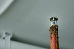 Corrosion-Resistant Fire Sprinklers