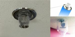 Cleaning fire sprinklers